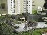 arvores e quadra
